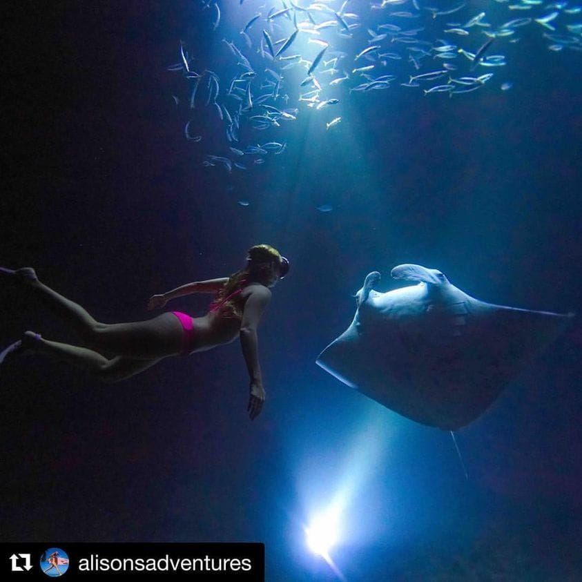 Manta swimming with girl