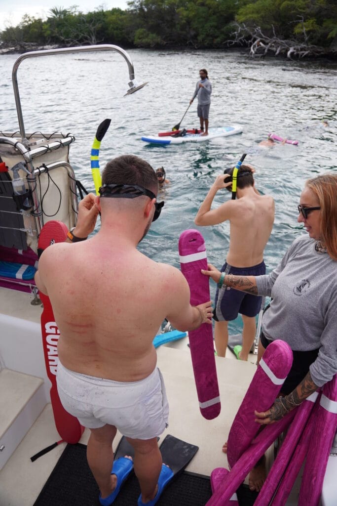 Guests putting on their snorkel gear and entering the blue waters of the Kona Coast